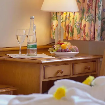 Garni Fuerst Von Waldeck Otel Willingen (Upland)