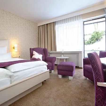 Otel Garni Fuerst Von Waldeck Willingen (Upland)