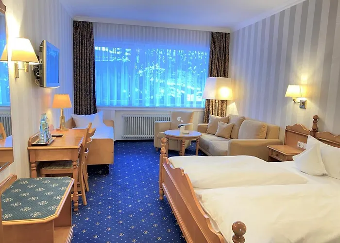 Garni Fürst Von Waldeck Hotel Willingen (Upland)